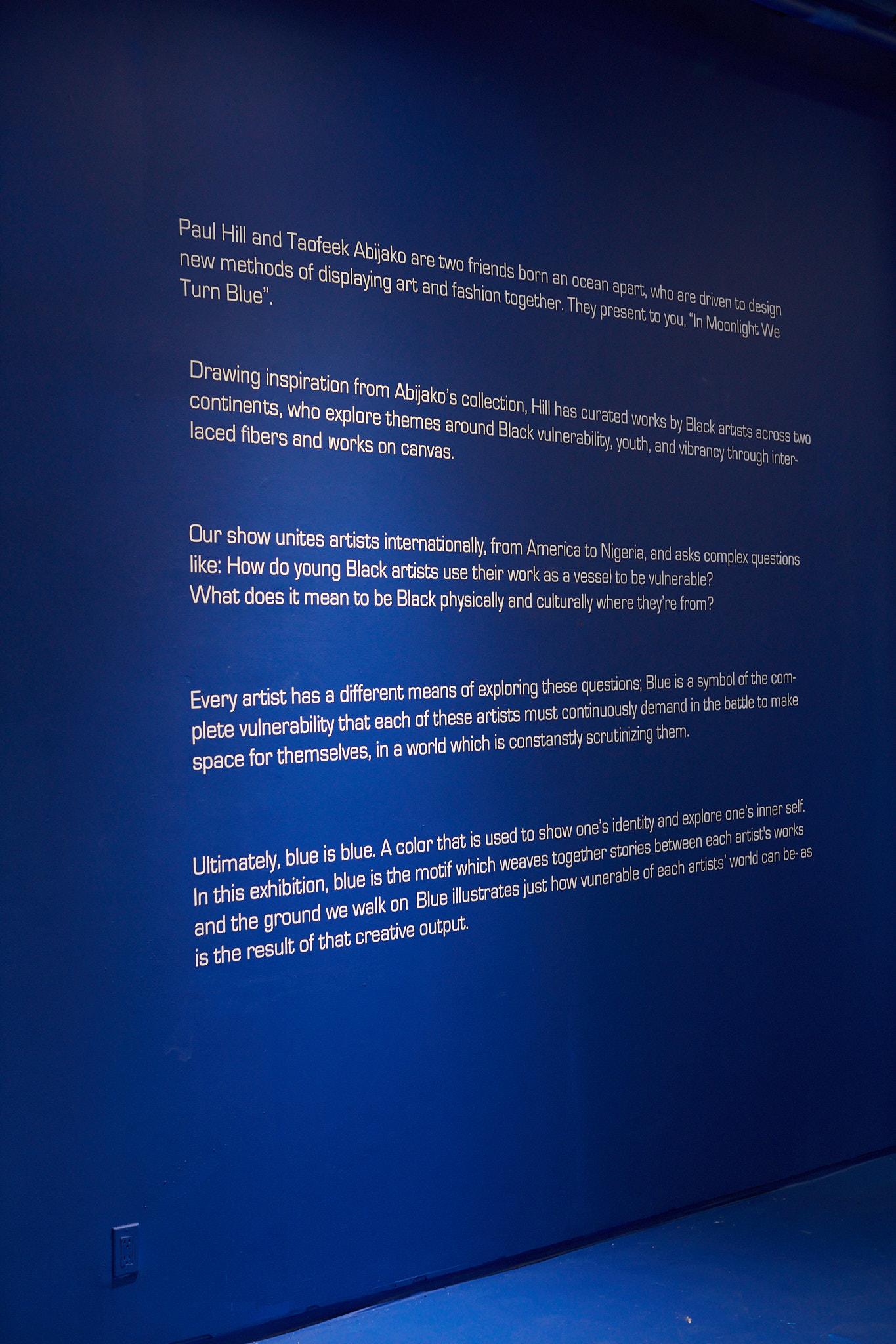 Head of State x Strada | “In Moonlight We Turn Blue” Exhibition